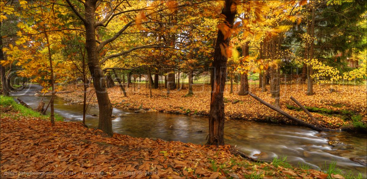 Peter Bellingham Photography Harrietville - VIC T (PBH3 00 34324)